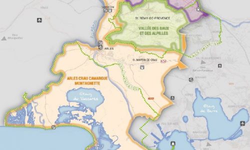 Le Conseil syndical des élus du Pays d&rsquo;Arles du 13 novembre 2020 en visio et en live!